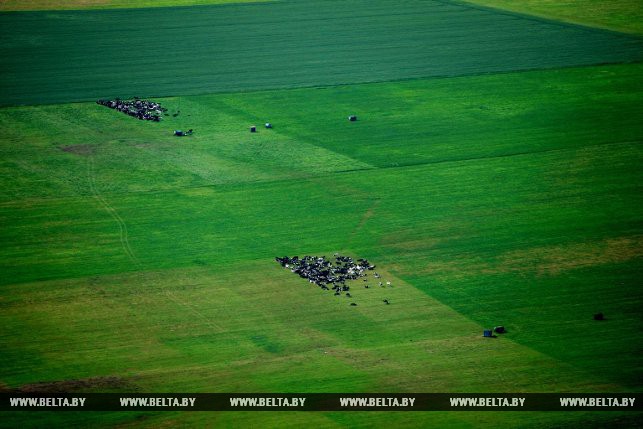 Фотарэпартаж: Гродзеншчына з вышыні птушынага палёту