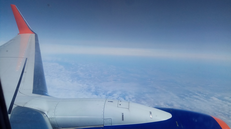 Платье от AliExpress и танцплощадка под открытым небом. Как сэкономить на собственной свадьбе