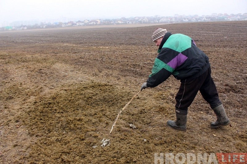 Пенсіянер, якому сабакі загрызлі козаў, паказаў, дзе жывуць і чым харчуюцца здзічэлыя жывёлы