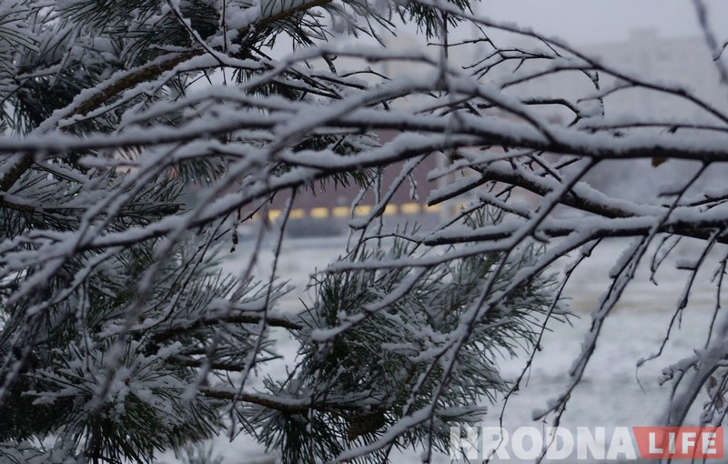 Холадна і мокры снег: апошні дзень восені 2017 у Гродне Холадна і мокры снег: апошні дзень восені 2017 у Гродне