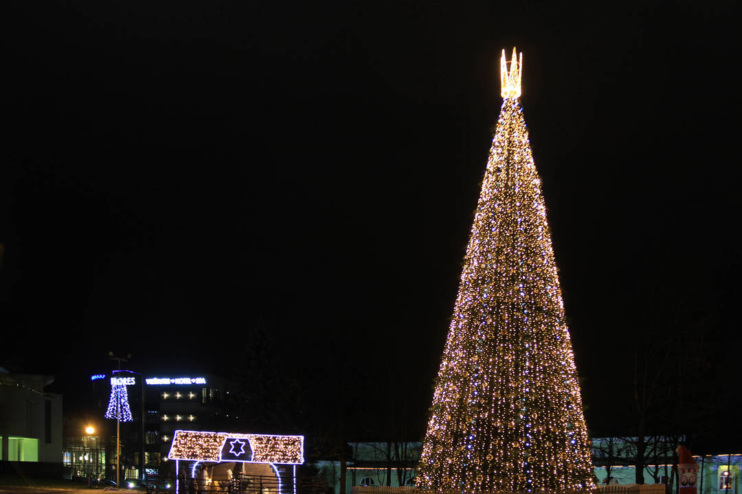 Конусы ці дрэўцы? Як выглядаюць цэнтральныя елкі ў Гродне і суседніх гарадах