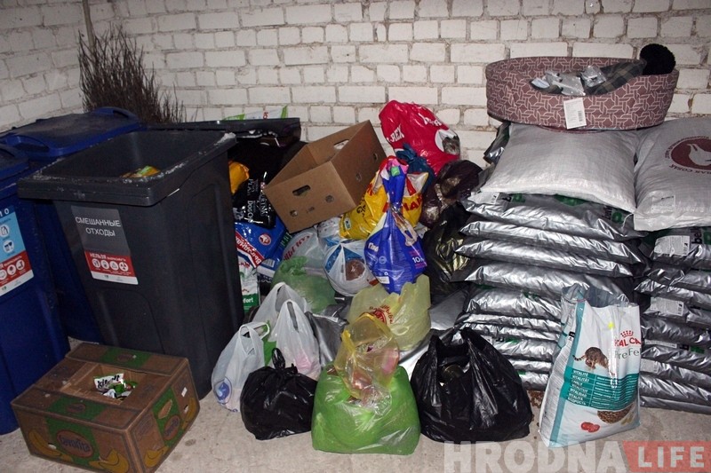 Што стала з кормам для бяздомных сабак, які сабралі на дабрачыннай акцыі? Фотарэпартаж