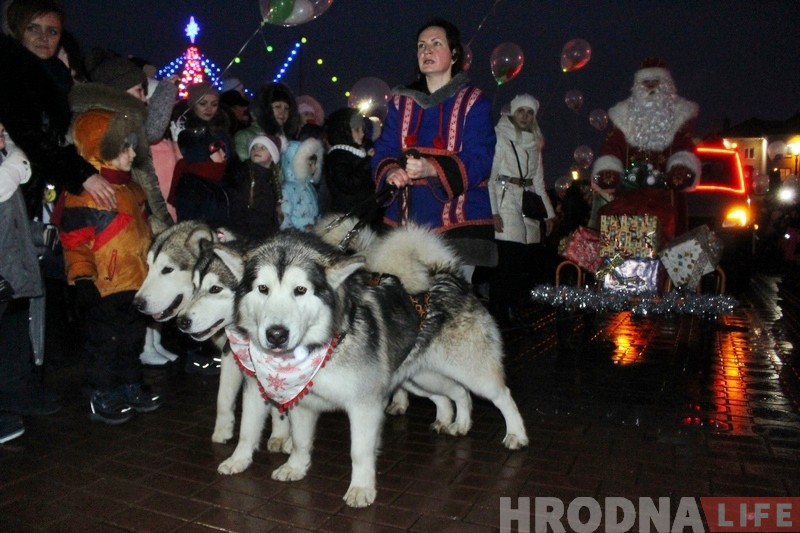 Дождж, сабакі і казачныя персанажы: У Гродне ўрачыста запалілі навагоднюю ілюмінацыю Дождж, сабакі і казачныя персанажы: У Гродне ўрачыста запалілі навагоднюю ілюмінацыю