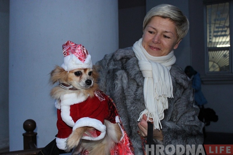 Дождж, сабакі і казачныя персанажы: У Гродне ўрачыста запалілі навагоднюю ілюмінацыю Дождж, сабакі і казачныя персанажы: У Гродне ўрачыста запалілі навагоднюю ілюмінацыю