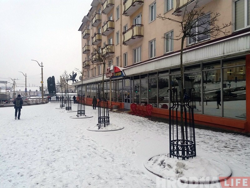 "Дрэваў мала, ды і тыя нішчаць". Каля "Вердэна" нехта зламаў малады клён