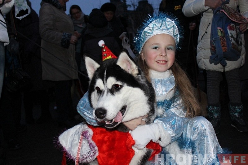Дождж, сабакі і казачныя персанажы: У Гродне ўрачыста запалілі навагоднюю ілюмінацыю Дождж, сабакі і казачныя персанажы: У Гродне ўрачыста запалілі навагоднюю ілюмінацыю