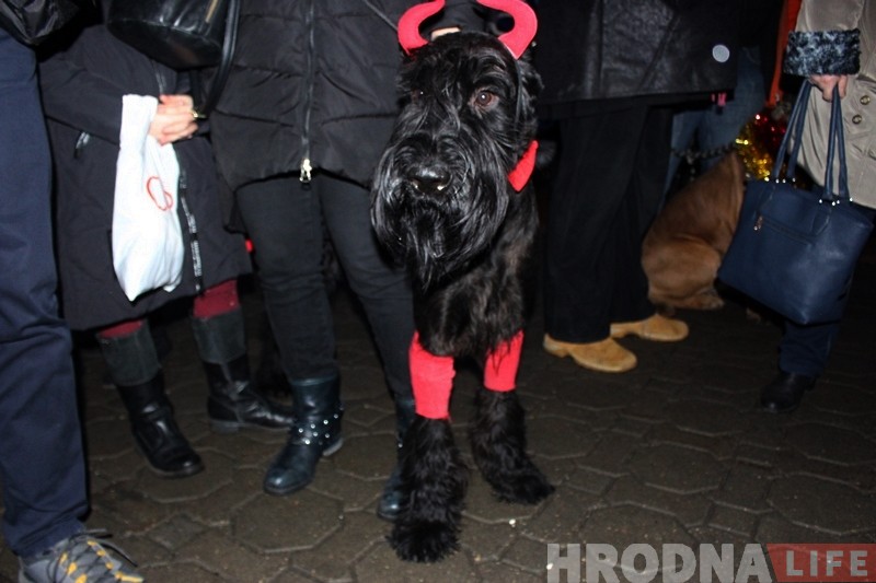 Дождж, сабакі і казачныя персанажы: У Гродне ўрачыста запалілі навагоднюю ілюмінацыю Дождж, сабакі і казачныя персанажы: У Гродне ўрачыста запалілі навагоднюю ілюмінацыю