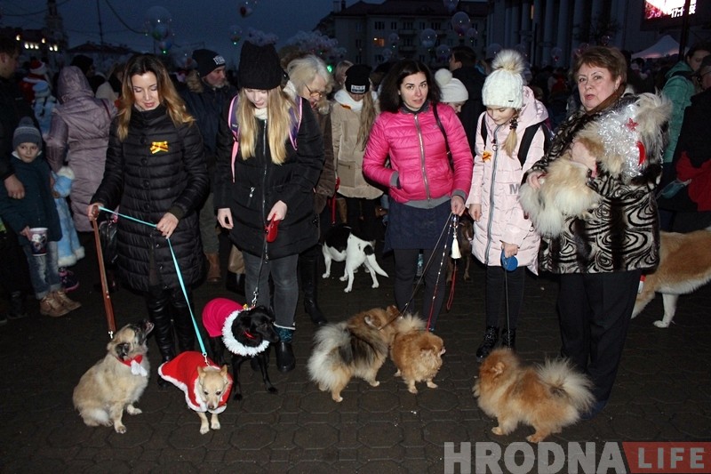 Дождж, сабакі і казачныя персанажы: У Гродне ўрачыста запалілі навагоднюю ілюмінацыю Дождж, сабакі і казачныя персанажы: У Гродне ўрачыста запалілі навагоднюю ілюмінацыю