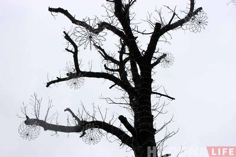 Ля ўваходу ў парк Жылібера ўсталявалі вялікую навагоднюю арку Ля ўваходу ў парк Жылібера ўсталявалі вялікую навагоднюю арку
