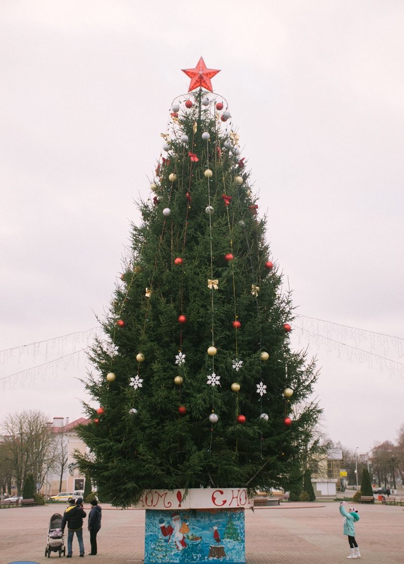 Конусы ці дрэўцы? Як выглядаюць цэнтральныя елкі ў Гродне і суседніх гарадах