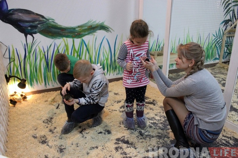 У Гродне адкрыўся яшчэ адзін кантактны заапарк. Там можна дакрануцца да кенгуру У Гродне адкрыўся яшчэ адзін кантактны заапарк. Там можна дакрануцца да кенгуру