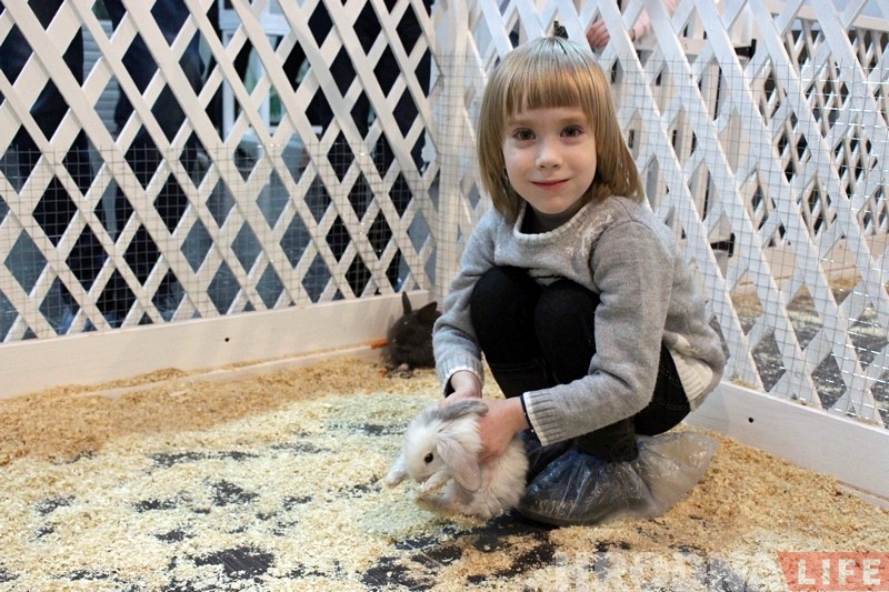 У Гродне адкрыўся яшчэ адзін кантактны заапарк. Там можна дакрануцца да кенгуру У Гродне адкрыўся яшчэ адзін кантактны заапарк. Там можна дакрануцца да кенгуру