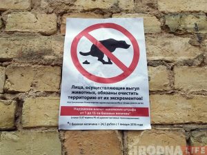Гродзенцаў заклікаюць прыбіраць за сваімі гадаванцамі Гродзенцаў заклікаюць прыбіраць за сваімі гадаванцамі