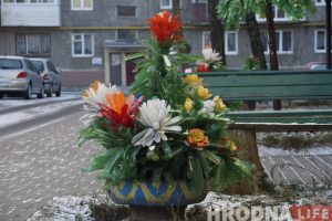 Дызайнеры прыдумалі яшчэ адну канцэпцыю брэнда Гродна ЖЭК-арт, ЖЭС-арт, кіч - пальмы і кветкі з бутэлек, якія можна знайсці ў дварах гарадоў