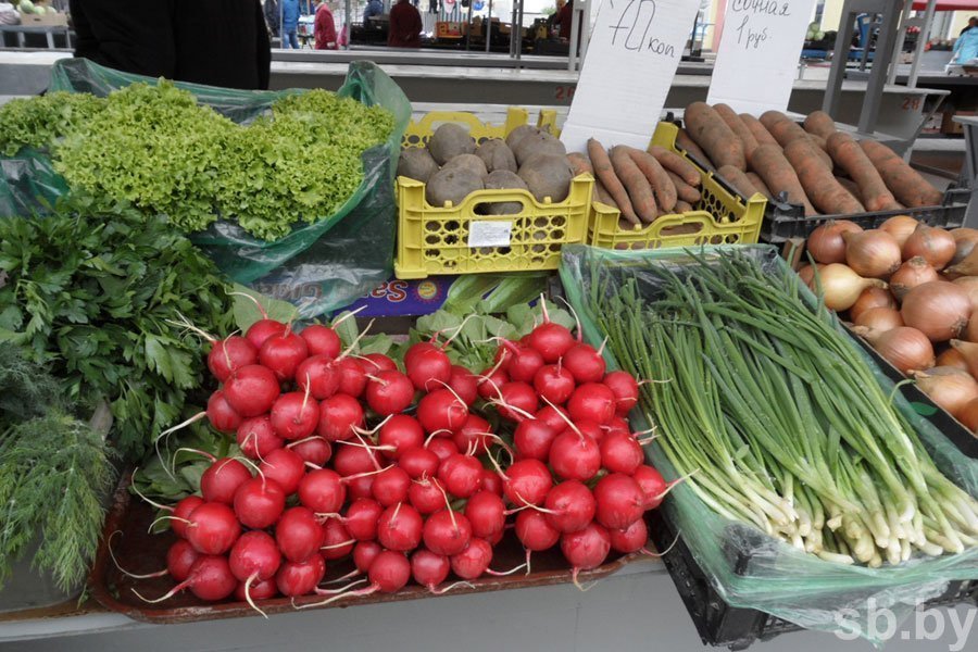 У Гродне лабараторна праверылі, колькі нітратаў утрымлівае вясновая гародніна