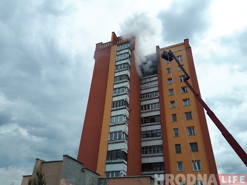 Маша з лесу, таксісты, смеццевы бізнес і ежа на колах. Што найбольш чыталі на Hrodna.life у 2018 годзе