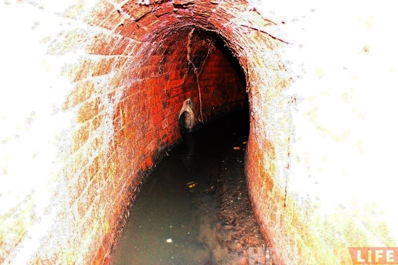 Як выглядае стары калектар пад Савецкай? Паглядзіце дзякуючы вазочку з камерай