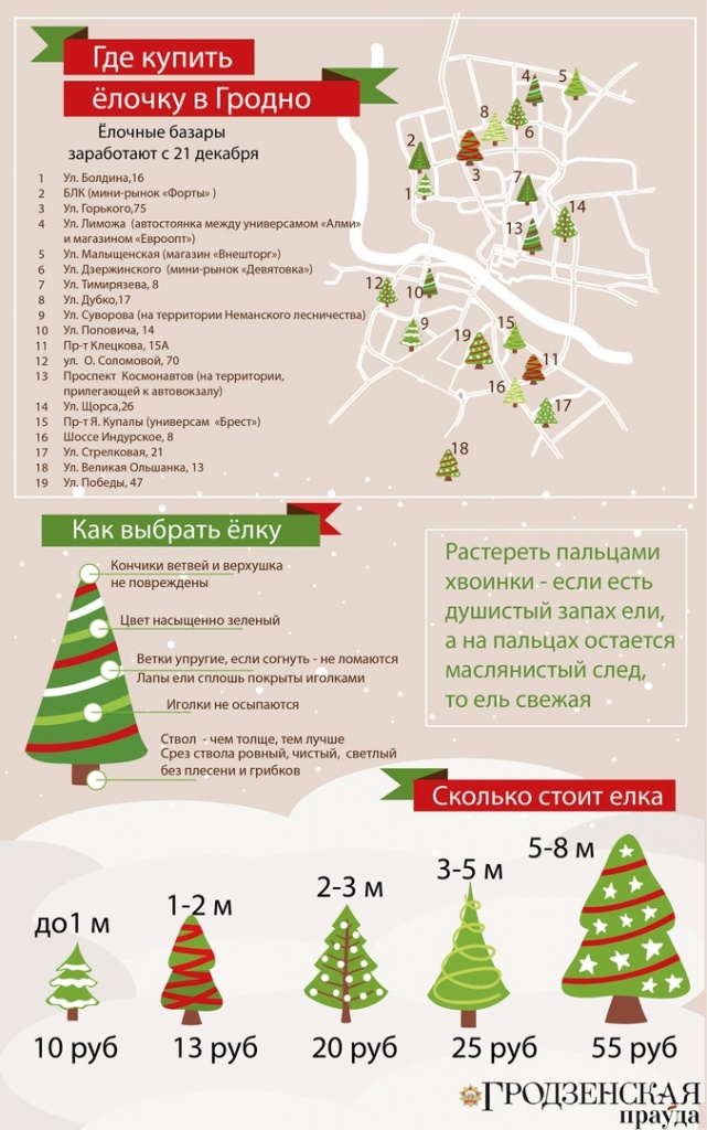 Калі ў Гродне і вобласці запрацуюць елачныя базары і па колькі навагоднія елкі?