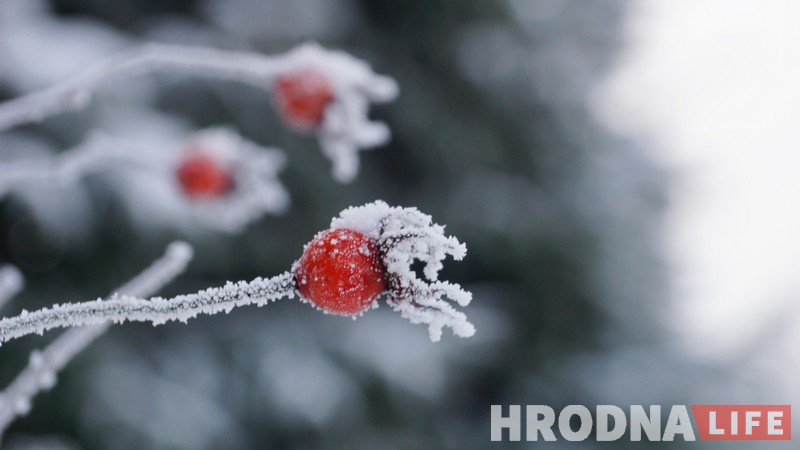 Смотрите, как выглядит настоящий зимний Гродно  (фото)