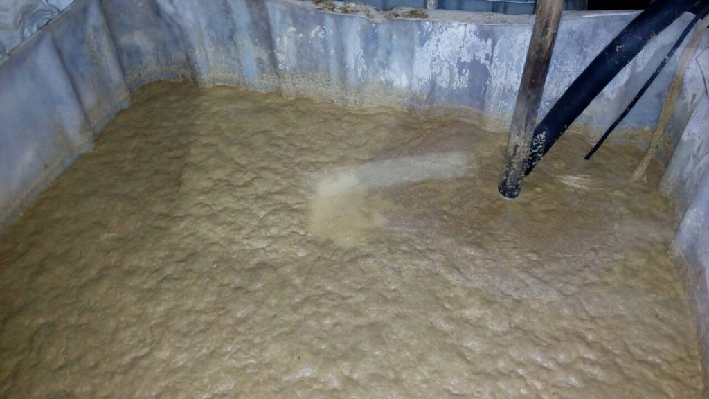 У лесе Гродзенскага раёна канфіскавалі 140 літраў самагонкі і тры тоны брагі