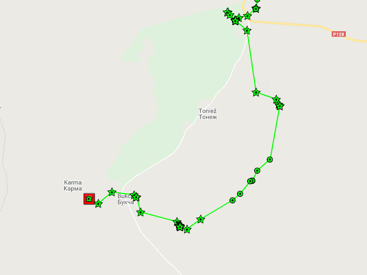 У Беларусі застрэлілі ваўка, якому выбіралі імя ўсёй краінай