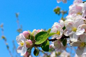 Арцыменя, Прасняк і «чаўнакі». Тры рэзанансныя злачынствы Гродна, якія дагэтуль не раскрытыя