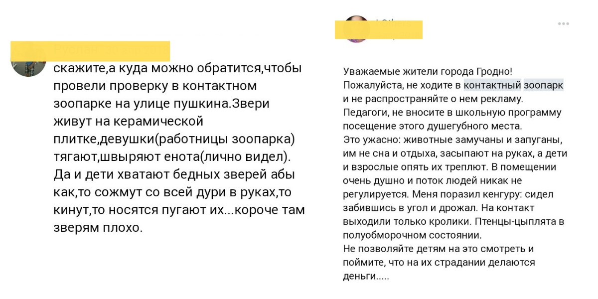 У Гродне праверылі кантактны заапарк: уладальнікам пагражае штраф да 1 275 рублёў