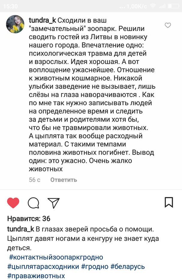 У Гродне праверылі кантактны заапарк: уладальнікам пагражае штраф да 1 275 рублёў