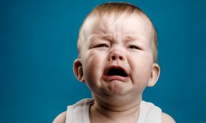 Пчолы, танкі, Мыйдадзір. Дзень сям'і ў Гродне адзначылі парадам калясак Пчолы, танкі, Мыйдадзір. Дзень сям'і ў Гродне адзначылі парадам калясак