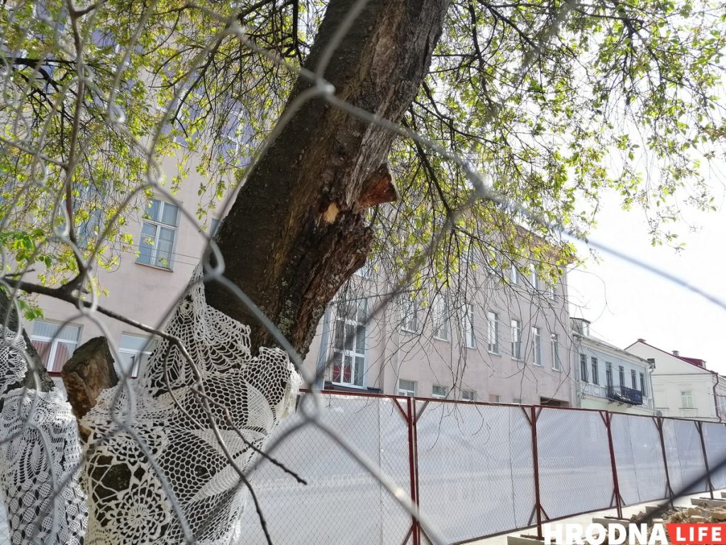 Відэафакт: Ламалі вішню экскаватарам, бо не было пілаў