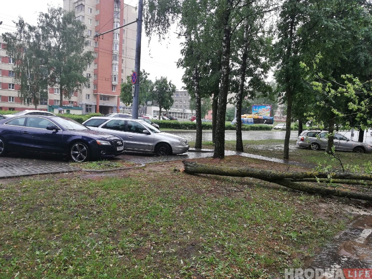 ФОТО: Первый летний ливень затопил улицы Гродно