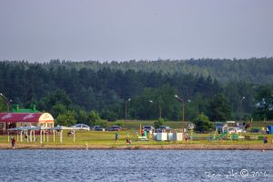 У Лідзе другі раз за год зацвілі каштаны