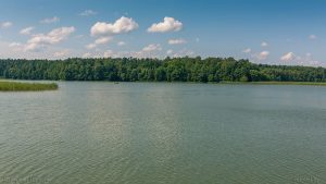 Гадзіна Зямлі 2019: што і дзе адбудзецца падчас глабальнай экалагічнай акцыі без святла