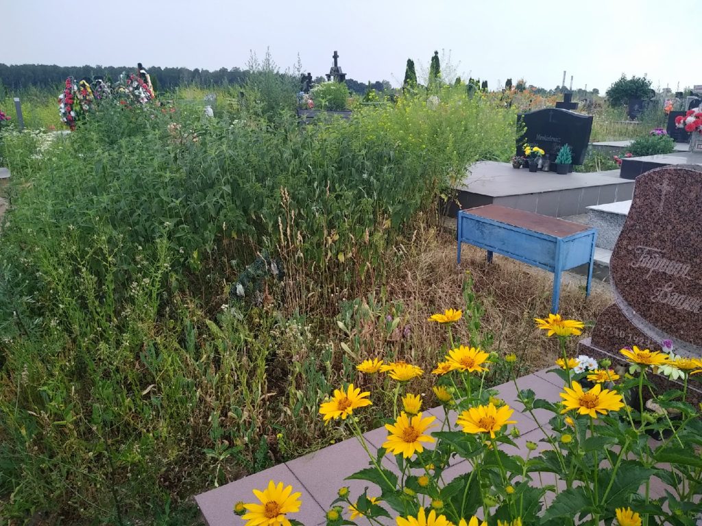 Чаму не косяць могілкі ў Гродне? Актывіст спытаўся і вось што адказала САГ