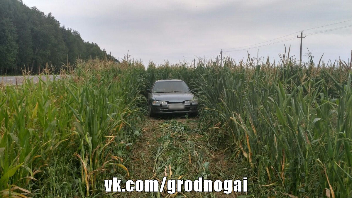 После аварии в Мостовском районе двухлетняя девочка получила резаные раны шеи