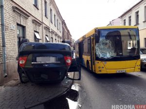 Відэафакт: дальнабойшчык выратаваў качку з качанятамі на трасе М6