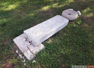 Бронзавы лебедзь у Гараднічанцы зноў "нырнуў". Можа, пара змяніць месца?