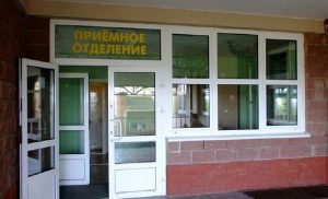 Завяршылі расследаванне крымінальнай справы аб ДТЗ, у якім загінуў адзін і пацярпеў другі пешаход