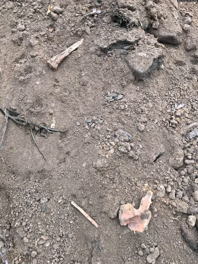 В Гольшанах заливают бетоном уникальное захоронение XIV века