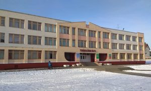 «Перавысіла службовыя абавязкі, ідзе разгляд». У гомельскай гімназіі настаўніца "пакарала" трэцякласніцу — ёй накладалі швы