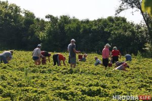 Польшча скасавала каранцін для сезонных працоўных з Беларусі і Украіны і замежных студэнтаў