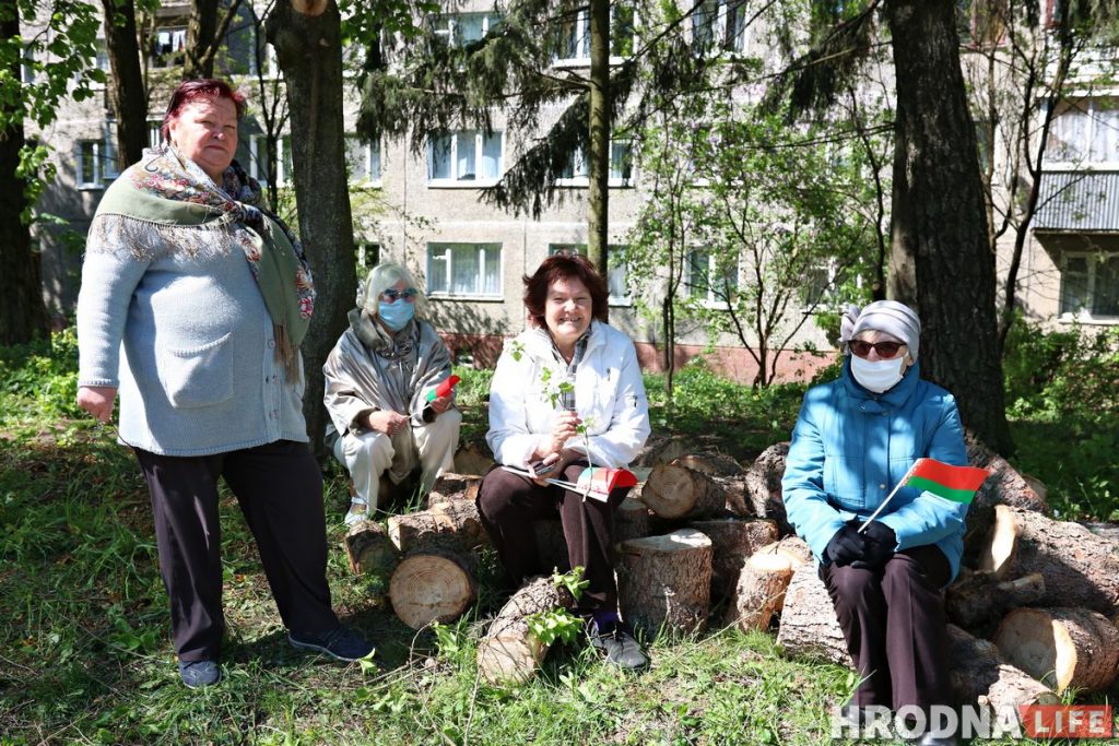 «Гэта наш раён і нашы дрэвы». Жыхары Горкага незадаволеныя высечкай у двары