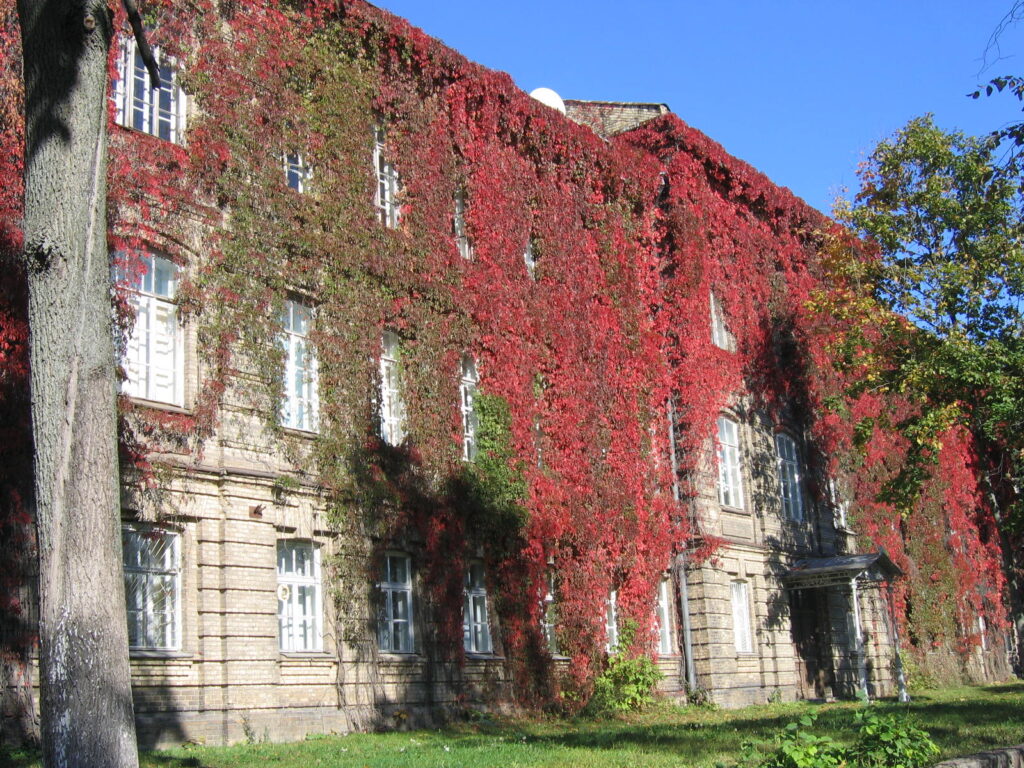У Гродне студэнты і выкладчыкі сабралі подпісы за новыя выбары і свабоду для палітвязняў гргу