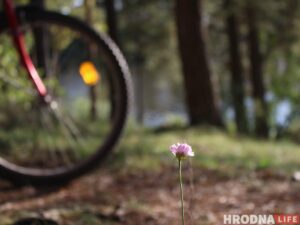 Самы шчаслівы транспарт для "Шляху Тызенгаўза". Пад Гродна адкрылі новы веламаршрут