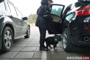 собаки граница кинологи