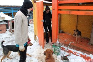 Спасли из сугробов: гродненцы помогли волонтерам расчистить заваленный снегом “домик для собак” Гродненцы расчищают от снега домик для собак в Лапенках