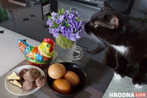 Вялікдзень прамінуў, яйкі засталіся: 3 рэцэпты страў, у якіх вараныя яйкі - галоўны прадукт Вялікдзень прамінуў, яйкі засталіся: 3 рэцэпты страў, у якіх вараныя яйкі - галоўны прадукт