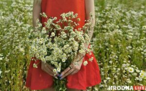 пікнік на прыродзе