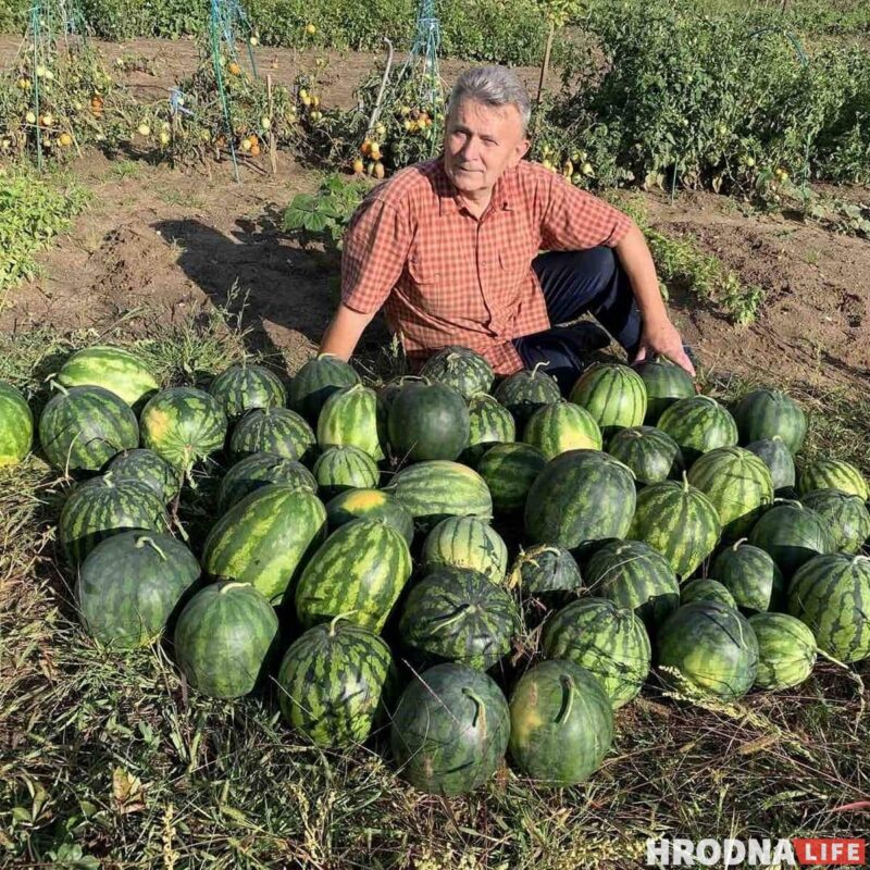 Байкі з лецішча і рэцэпты нарыхтовак ад Міколы Таранды Байкі з лецішча і рэцэпты нарыхтовак ад Міколы Таранды