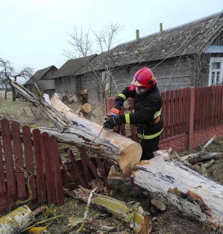 Пострадали 19 населенных пунктов: смотрите фото, что сильный ветер повредил в Гродненской области за выходные